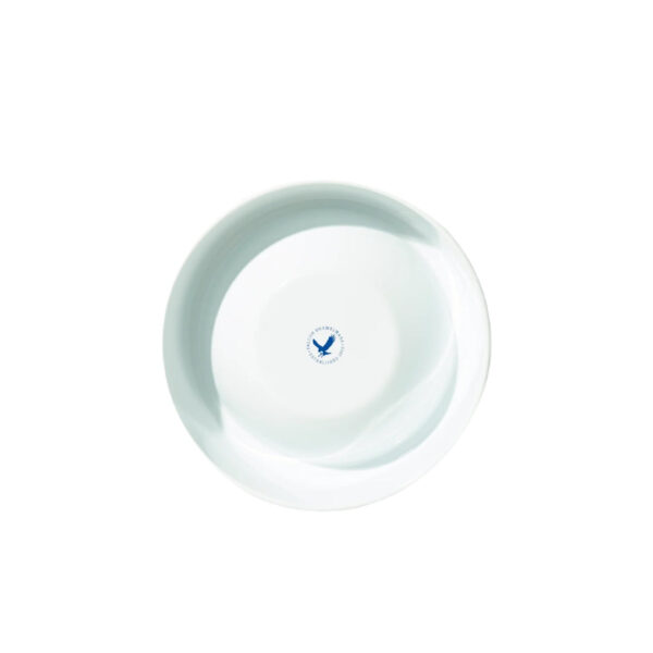 Enamel bowl for dogs and cats