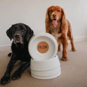 Enamel bowl for dogs and cats