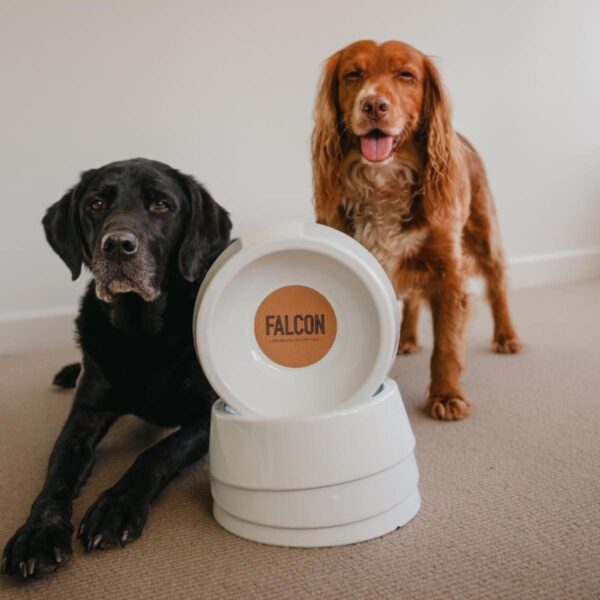 Enamel bowl for dogs and cats
